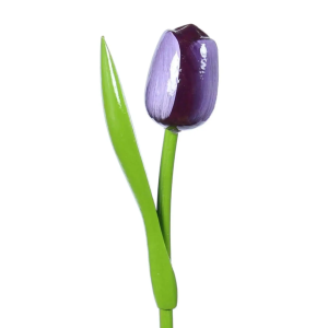 Wooden Tulip Aubergine and White x1