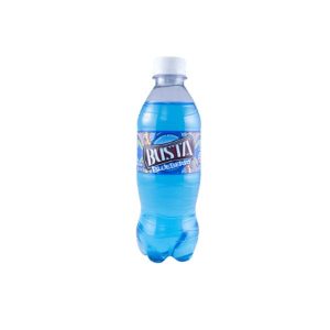Busta Blueberry 24x590ml