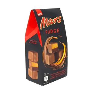 Mars Fudge Carton 12x100g