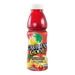 Caribbean Cool Fruit Punch 24x500ml
